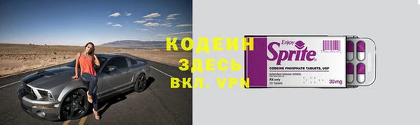 прущие грибы Воткинск