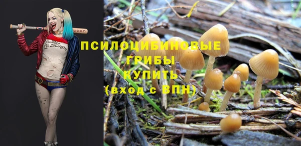 эйфоретик Армянск