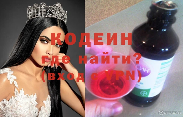 ПСИЛОЦИБИНОВЫЕ ГРИБЫ Арсеньев