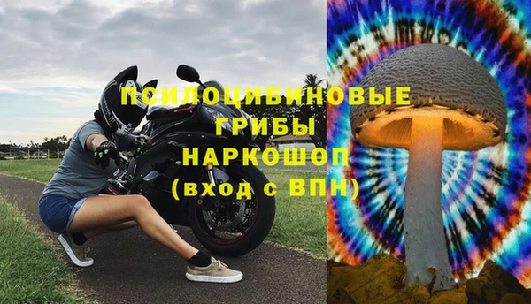 эйфоретик Армянск