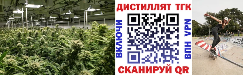 Дистиллят ТГК Wax Козьмодемьянск